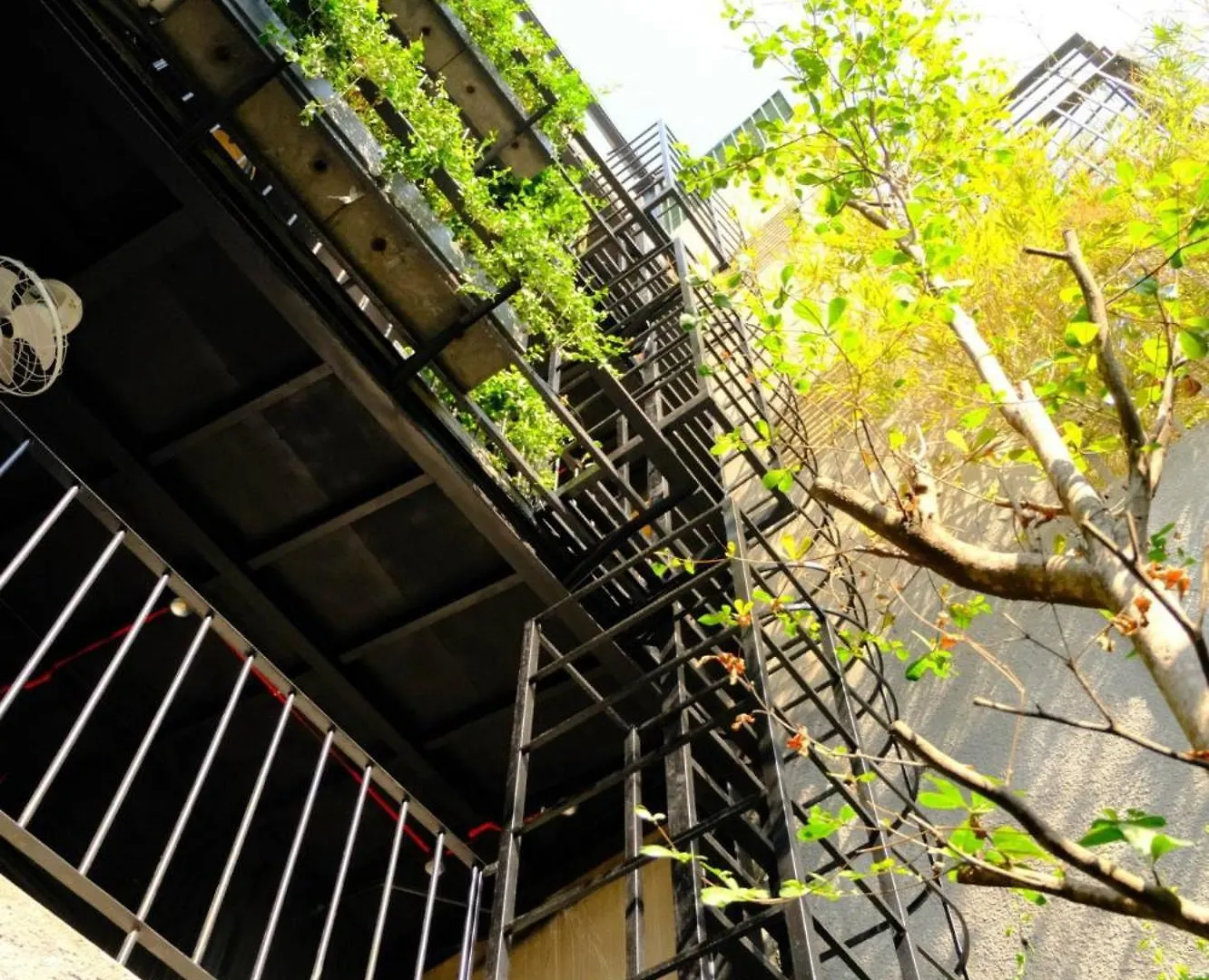 Neru Hostel & Coffee Ho Chi Minh City